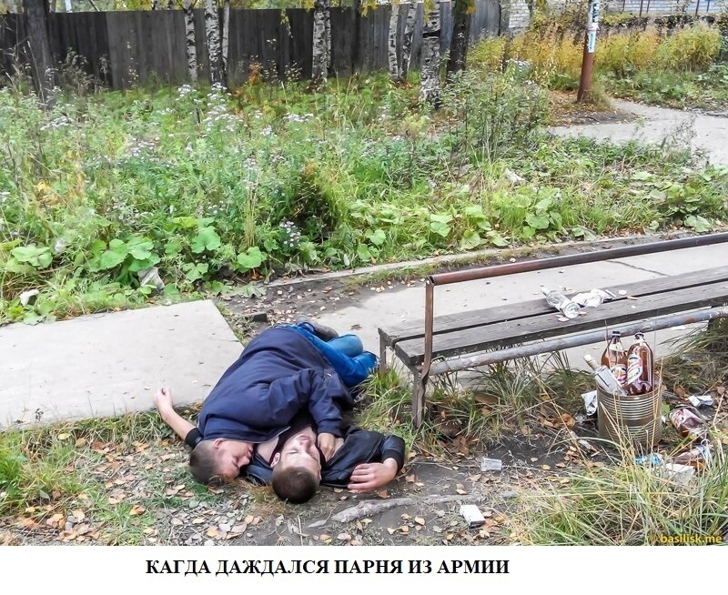 index.php (800×654)