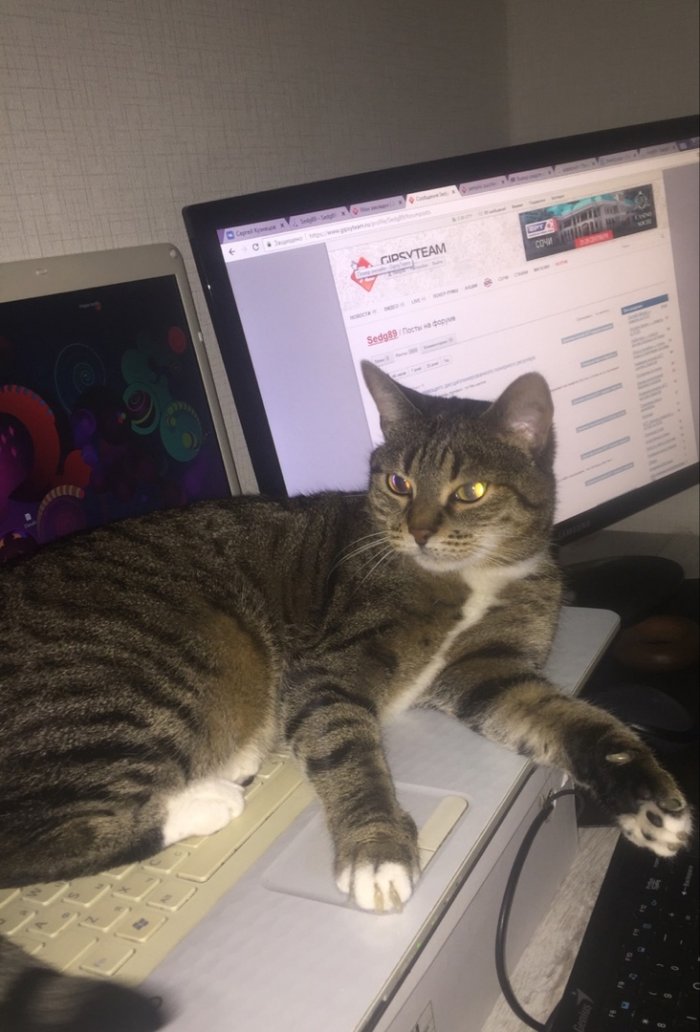 Прикрепленное изображение