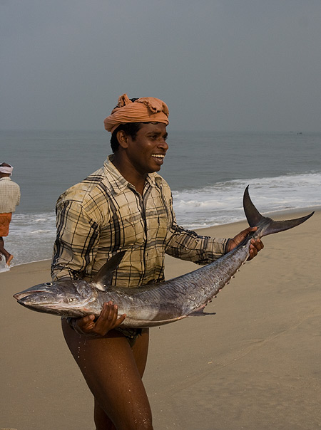 Прикрепленное изображение