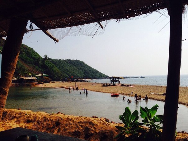 Прикрепленное изображение