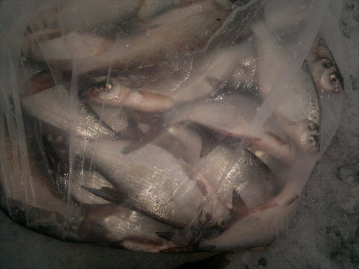 Прикрепленное изображение