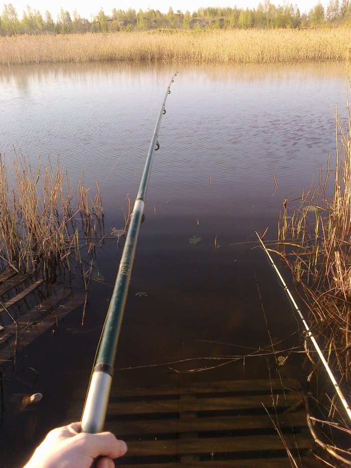 Прикрепленное изображение