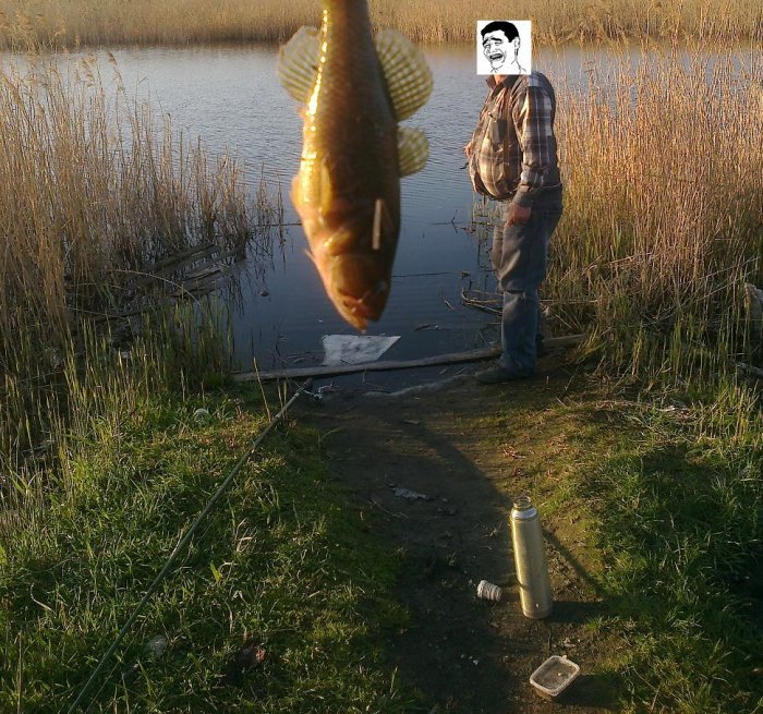 Прикрепленное изображение