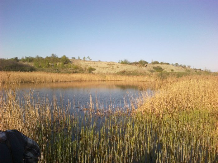 Прикрепленное изображение