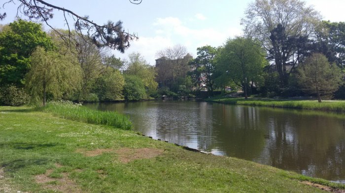 Прикрепленное изображение