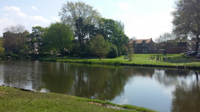 Прикрепленное изображение