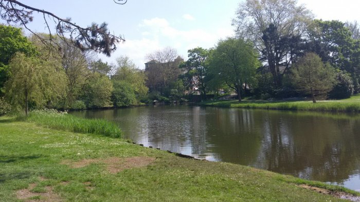 Прикрепленное изображение